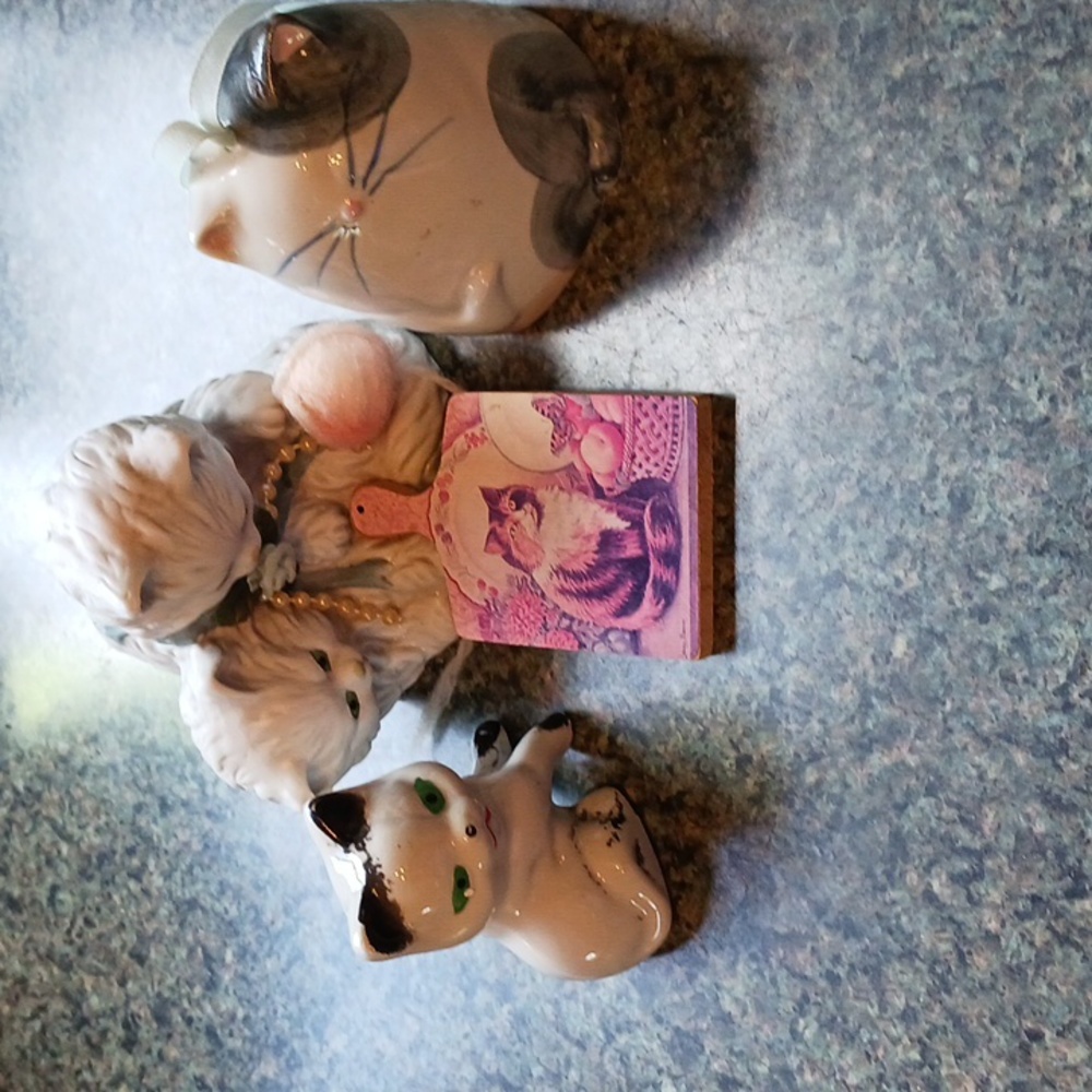 Home Cat Knick Knacks 3 + A Magnet